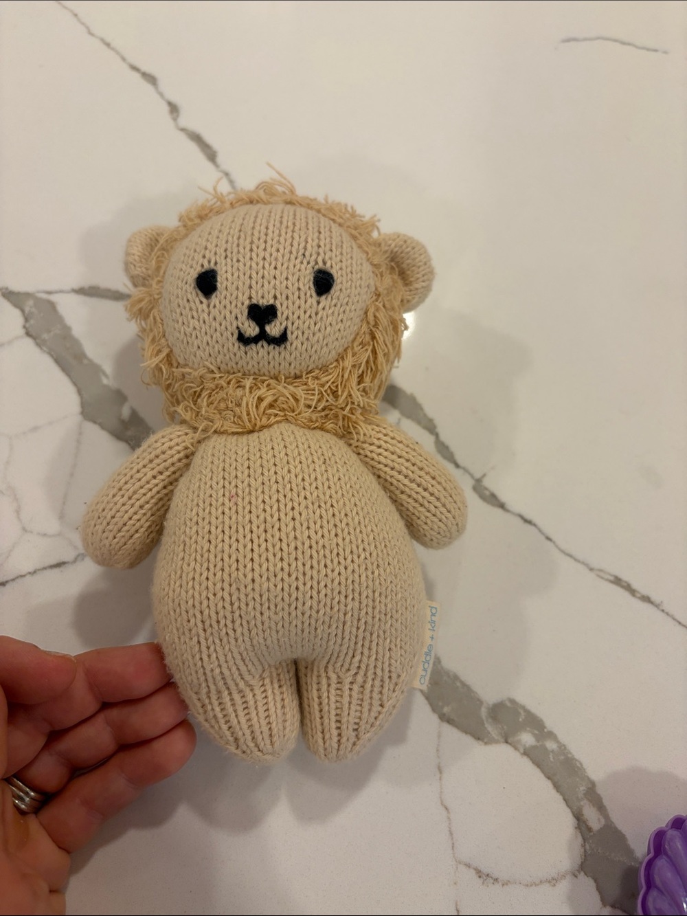 Cuddle and kind mini lion